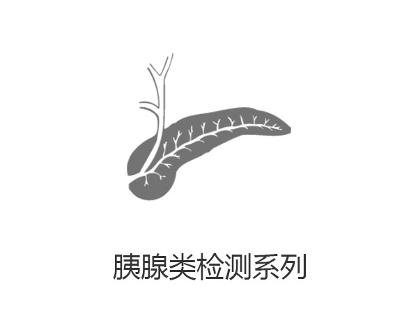 胰腺类